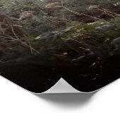 オレゴン魔法 – ポスター (角)