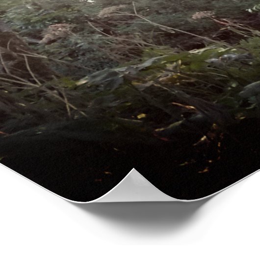 オレゴン魔法 – ポスター (角)