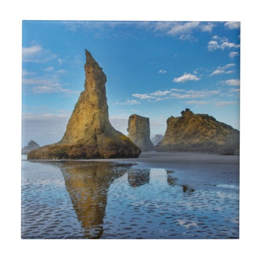 オレゴン3バンドンのバンドンビーチに海が積み重ねられる タイル (正面)