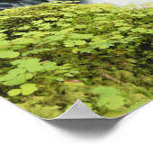 オレゴン、ウィラメットの滝 ポスター (角)