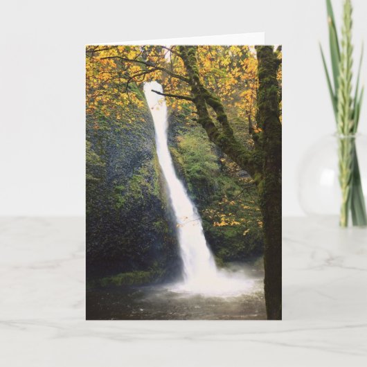 オレゴン，ウステール滝 カード (正面)
