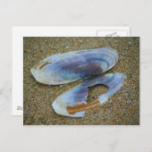 オレゴン・カミソリ・シェル ポストカード (正面/裏面)