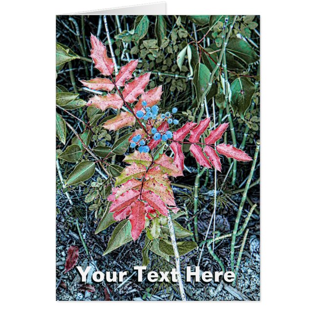 オレゴン・グレープ (正面)