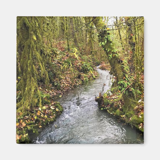 オレゴン，コレールクリーク マグネット (正面)