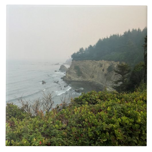 オレゴン・コースト州シンプソン・リーフ・オーバービュー タイル (正面)