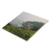 オレゴン・コースト州シンプソン・リーフ・オーバービュー タイル (側面)