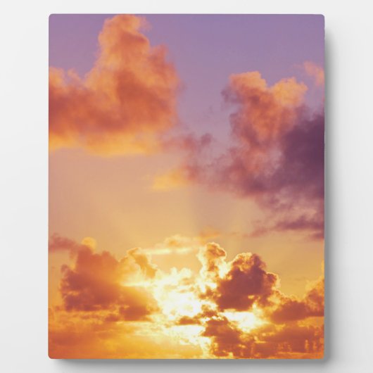 オレゴン・コースト・サンセット・アット・ザ・ビーチ フォトプラーク (正面)