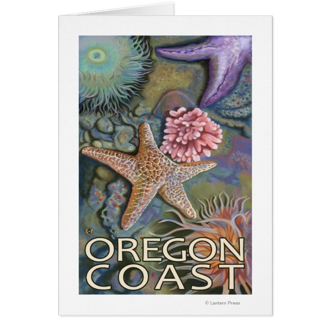 オレゴン・コースト・ティデプール (正面)