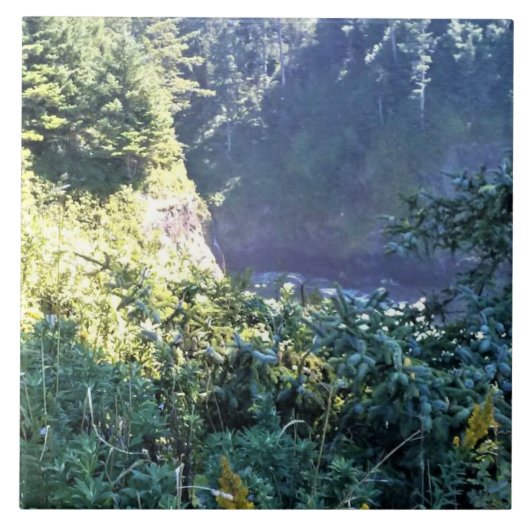 オレゴン・コースト・ハートズコーブ タイル (正面)