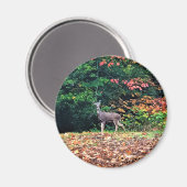 オレゴン・シカ マグネット (正面/裏面)