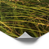 オレゴン，シックス川 ポスター (角)