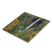 オレゴン、シルバー秋州パーク、ノース秋 タイル (側面)