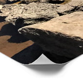 オレゴン，スパークス湖 ポスター (角)