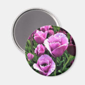 オレゴン・スー・パープル・チューリップス マグネット (正面/裏面)
