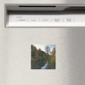 オレゴン，チュアラチン川 マグネット (インサイチュ (食洗機))