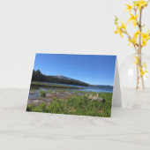 オレゴン，デービス湖 カード (黄色い花)