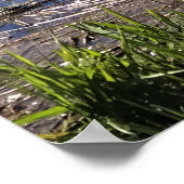 オレゴン，デービス湖 ポスター (角)