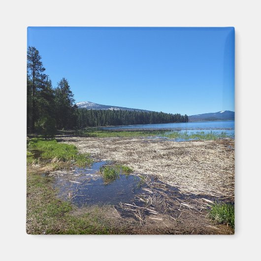 オレゴン，デービス湖 マグネット (正面)