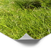 オレゴン，トゥマロークリーク ポスター (角)