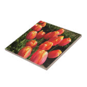 オレゴン・ドルドニ・チューリップス タイル (側面)