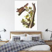 オレゴン(フンボルト飛んでいる)リス キャンバスプリント (インサイチュ (寝室))