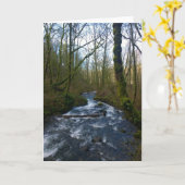 オレゴン,ブライダルベール滝からのランオフ カード (黄色い花)