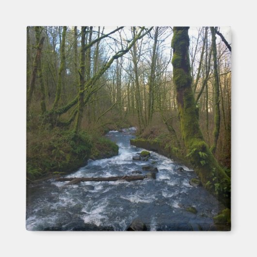 オレゴン，ブライダルベール滝からのランオフ マグネット (正面)