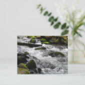 オレゴン・マクドウェル・クリーク ポストカード (スタンド正面)