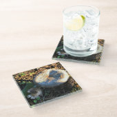 オレゴン，マッシュルーム ガラスコースター (アングル)