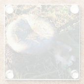 オレゴン，マッシュルーム ガラスコースター (裏面)