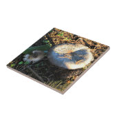 オレゴン，マッシュルーム タイル (側面)