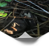 オレゴン，マッシュルーム ポスター (角)