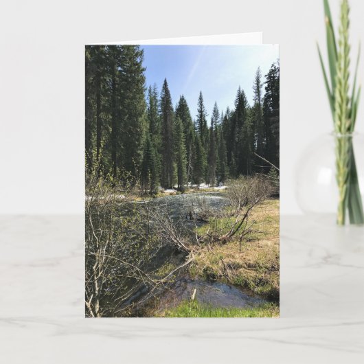 オレゴン，ミュアクリーク カード (正面)