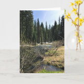 オレゴン，ミュアクリーク カード (黄色い花)