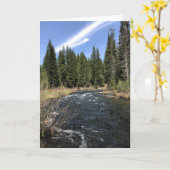 オレゴン，ミュアクリーク カード (黄色い花)