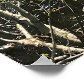 オレゴン，ミュアクリーク ポスター (角)