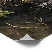 オレゴン，ミュアクリーク ポスター (角)