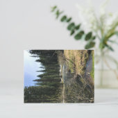 オレゴン，ミュアクリーク ポストカード (スタンド正面)