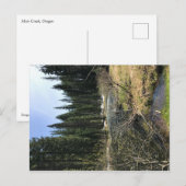 オレゴン，ミュアクリーク ポストカード (正面/裏面)