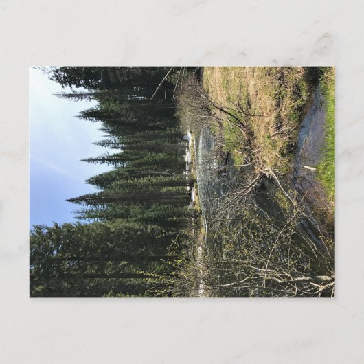 オレゴン，ミュアクリーク ポストカード (正面)