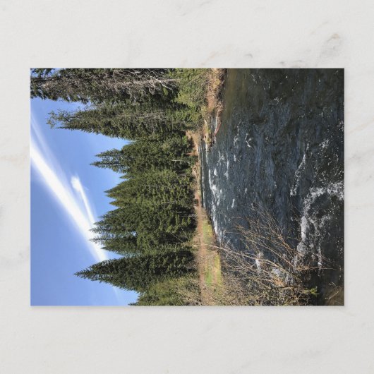 オレゴン，ミュアクリーク ポストカード (正面)