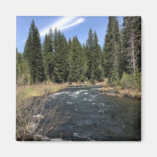 オレゴン，ミュアクリーク マグネット (正面)