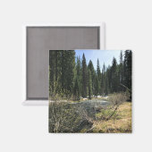 オレゴン，ミュアクリーク マグネット (正面/裏面)