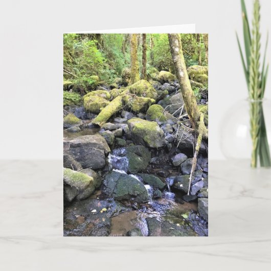 オレゴン・モララ・ハーディ・クリーク カード (正面)