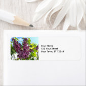 オレゴン・ライラック ラベル (インサイチュ)