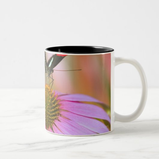 オレゴン、米国3 ツートーンマグカップ (右)