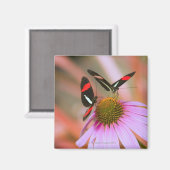 オレゴン、米国3 マグネット (正面/裏面)