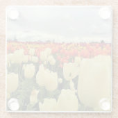 オレゴン,美しいチューリップフィールド ガラスコースター (裏面)