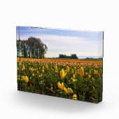オレゴン，美しいチューリップフィールド フォトブロック (右)