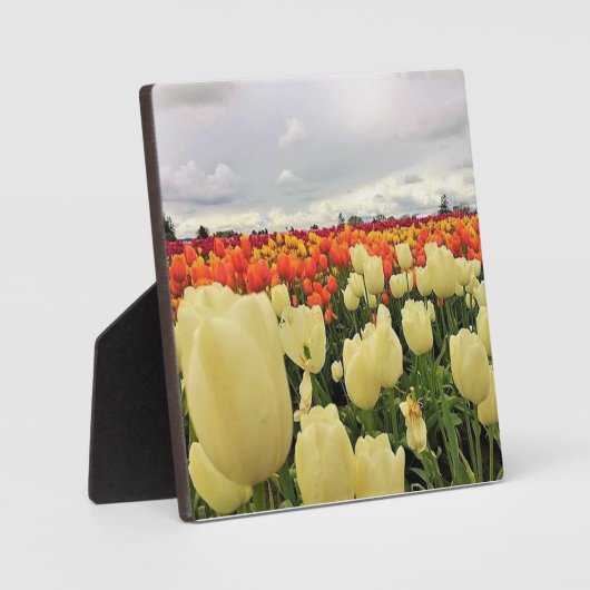 オレゴン,美しいチューリップフィールド フォトプラーク (正面)